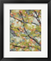 Dappled Dusk I Framed Print