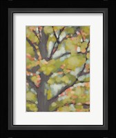 Dappled Dusk II Framed Print