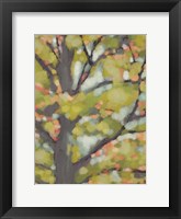 Dappled Dusk II Framed Print