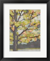 Dappled Dusk III Framed Print