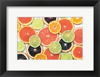 Sunny Citrus IV Fine Art Print