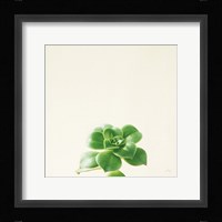 Succulent Simplicity VII Neutral Fine Art Print