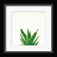 Succulent Simplicity V Neutral Fine Art Print
