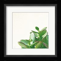 Succulent Simplicity IV Neutral Fine Art Print