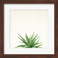 Succulent Simplicity I Neutral Fine Art Print