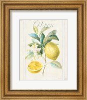 Floursack Lemon IV v2 Fine Art Print