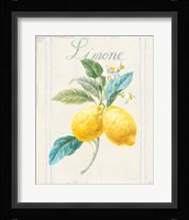 Floursack Lemon III v2 Framed Print