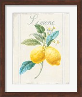 Floursack Lemon III v2 Fine Art Print