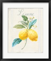Floursack Lemon III v2 Framed Print