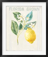 Floursack Lemon I v2 Fine Art Print