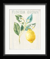 Floursack Lemon I v2 Framed Print