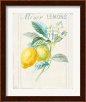 Floursack Lemon II v2 Fine Art Print