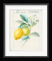 Floursack Lemon II v2 Framed Print