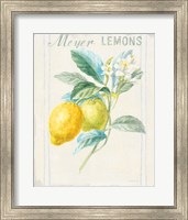 Floursack Lemon II v2 Fine Art Print