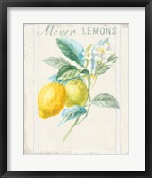 Floursack Lemon II v2 Framed Print