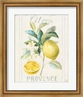 Floursack Lemon IV Fine Art Print
