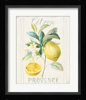 Floursack Lemon IV Framed Print