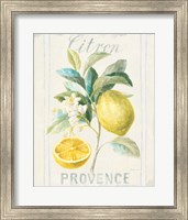 Floursack Lemon IV Fine Art Print
