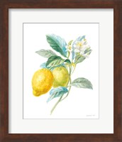 Floursack Lemon II on White Fine Art Print