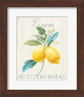 Floursack Lemon III Fine Art Print