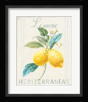 Floursack Lemon III Framed Print