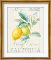 Floursack Lemon II Fine Art Print