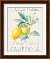 Floursack Lemon II Fine Art Print