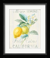 Floursack Lemon II Fine Art Print