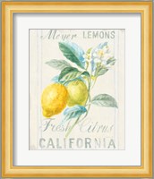 Floursack Lemon II Fine Art Print