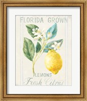 Floursack Lemon I Fine Art Print