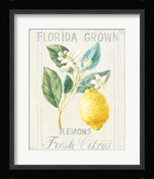 Floursack Lemon I Fine Art Print
