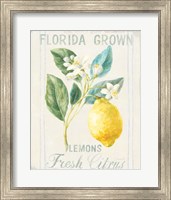 Floursack Lemon I Fine Art Print