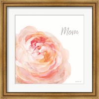 Garden Rose on White Crop II Mom Fine Art Print