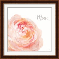 Garden Rose on White Crop II Mom Fine Art Print