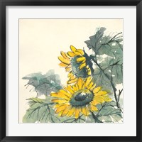 Sunflower II Fine Art Print