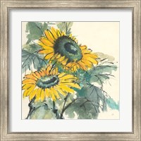 Sunflower I Fine Art Print