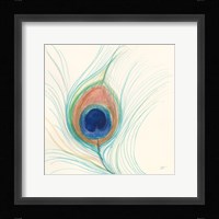 Peacock Feather II Fine Art Print
