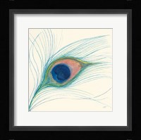 Peacock Feather I Fine Art Print