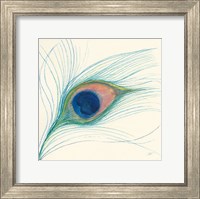 Peacock Feather I Fine Art Print