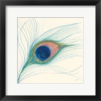 Peacock Feather I Framed Print