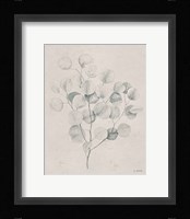 Soft Summer Sketches II Fine Art Print