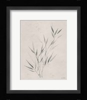 Soft Summer Sketches III Framed Print