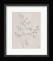 Soft Summer Sketches IV Fine Art Print