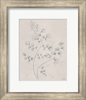 Soft Summer Sketches IV Fine Art Print