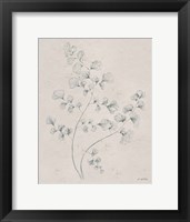 Soft Summer Sketches IV Framed Print