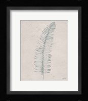 Soft Summer Sketches I Framed Print