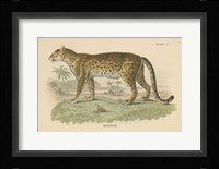 Vintage Leopard Framed Print