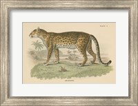Vintage Leopard Fine Art Print