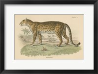 Vintage Leopard Framed Print