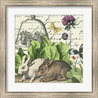 Garden Rabbit II Fine Art Print
